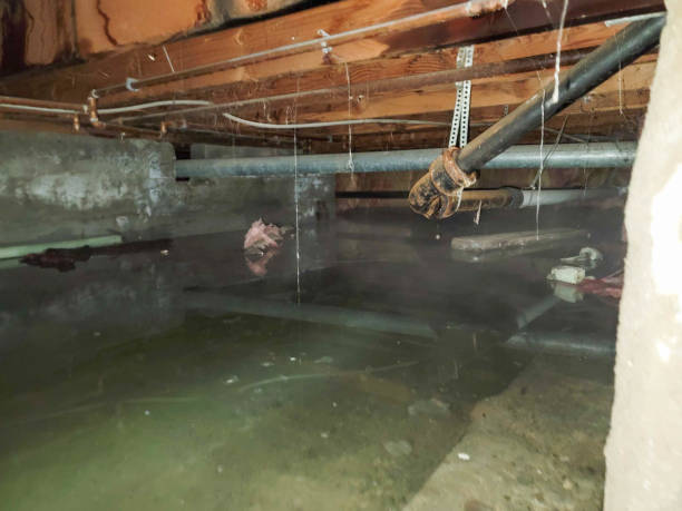 Best Water damage restoration near me  in Satsuma, AL