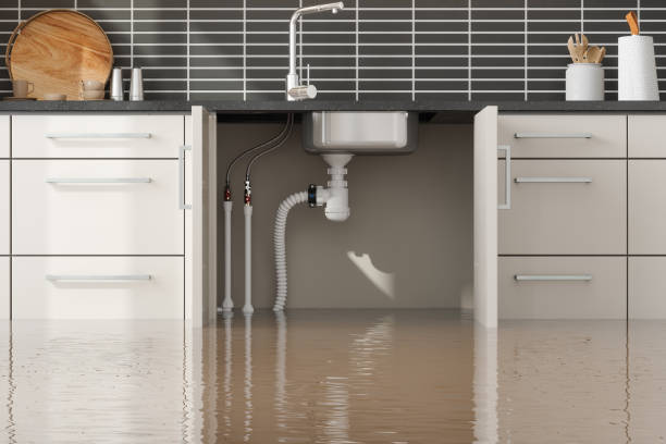 Reliable AL Water damage restoration Solutions