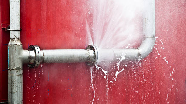 Best Ceiling water damage repair  in Satsuma, AL
